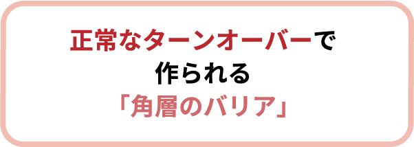 正常なターンオーバーで作られる 角層のバリア