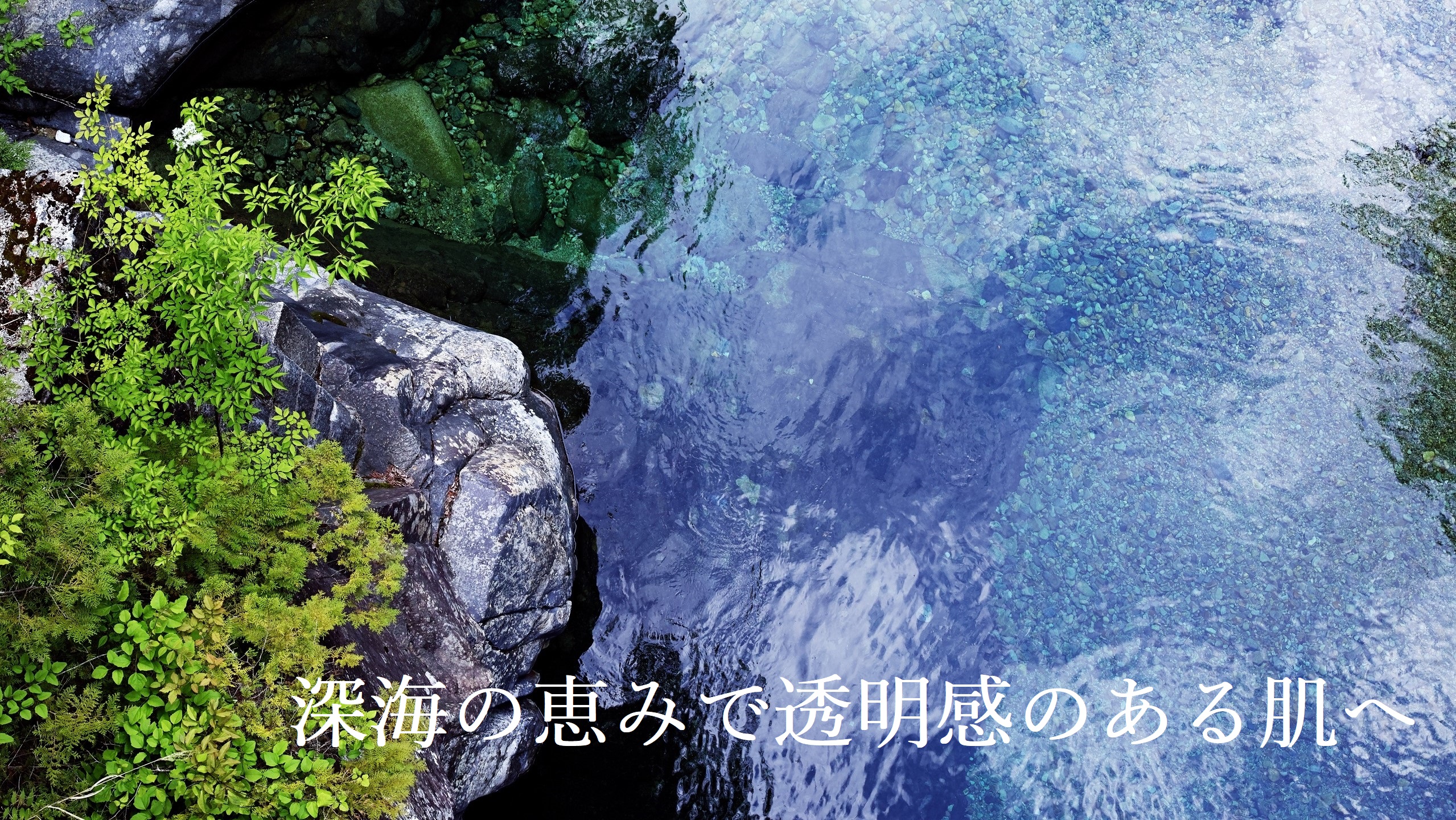 麗凍化粧品　美容液化粧水