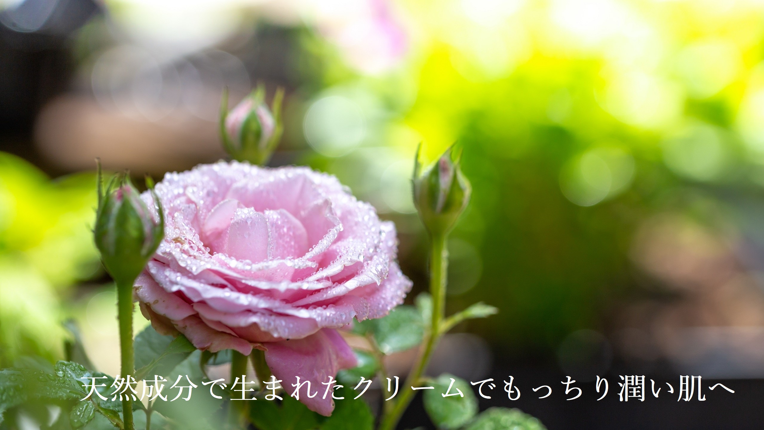 麗凍化粧品 美容液クリーム