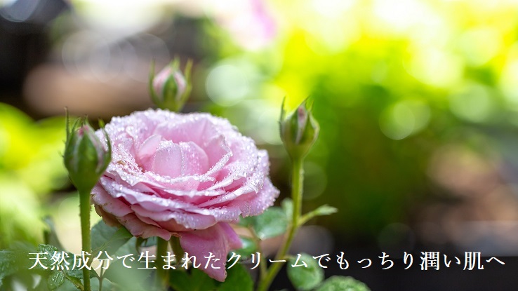 麗凍化粧品 美容液クリーム